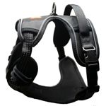 Quattro Harness New (1)