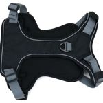 Quattro Harness (2)