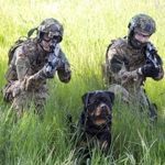 Professional (police, military, security) 2