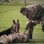 Professional (police, military, security) 1